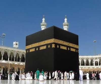 Top Selling Multipurpose WP Theme